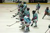 Moskito Turnier Langenthal (6)