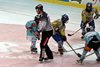 Moskito Turnier Langenthal (1)