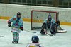 ZSC Lions - Lakers (18)