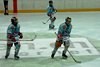 ZSC Lions - Lakers (20)