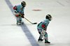 EHC WInterthur - Lakers (12)