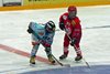 EHC WInterthur - Lakers (3)