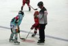 EHC WInterthur - Lakers (15)