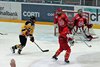 EHC WInterthur - EHCW (38)