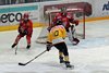 EHC WInterthur - EHCW (74)