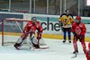 EHC WInterthur - EHCW (37)