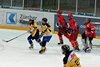 EHC WInterthur - EHCW (50)