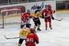 EHC WInterthur - EHCW (67)