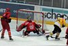 EHC WInterthur - EHCW (103)