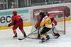 EHC WInterthur - EHCW (72)
