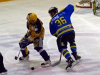 Bäretswil 9 Oktober 2016 (19)