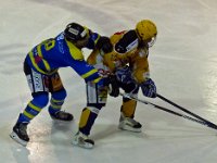 Bäretswil 9 Oktober 2016 (20)