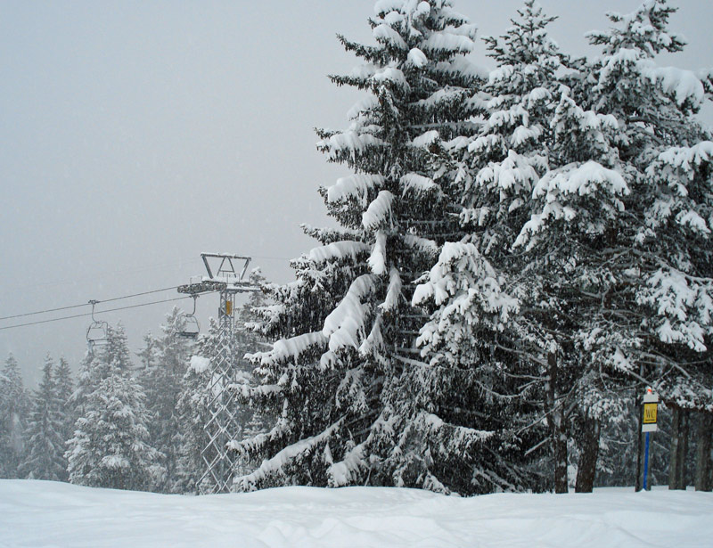 Schnee Flims