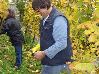 Wümmet 2008 (13)