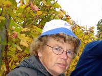 Wümmet 2008 (16)