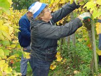 Wümmet 2008 (18)