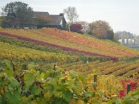 Wümmet 2008 (24)