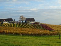 Wümmet 2008 (31)