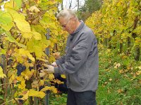 Wümmet 2008 (8)