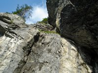 2009 Pinut (14)