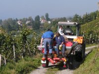 Wümmet 2009 (10)
