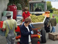 Wümmet 2009 (47)