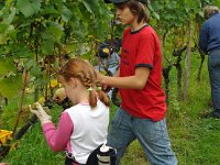 Wümmet 2009 (59)