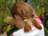 Wümmet 2009 (61)
