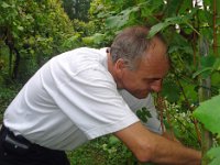 Wümmet 2009 (7)