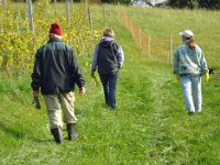 Wümmet 2009 (74)