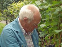 Wümmet 2009 (8)