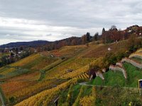 Wümmet 2013 (59)