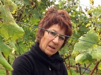 Wümmet 2013 (67) : 1