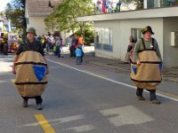 Umzug 2015 (11)