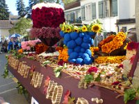 Umzug 2015 (13)