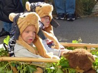 Umzug 2015 (33)