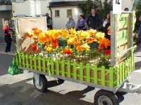 Umzug 2015 (44)
