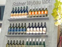 Umzug 2015 (46)