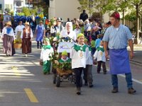 Umzug 2015 (5)