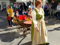 Umzug 2015 (72)