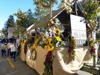 Umzug 2015 (91)