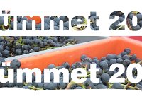 2015 Wümmet