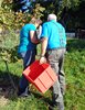 Wümmet 2014  (29)